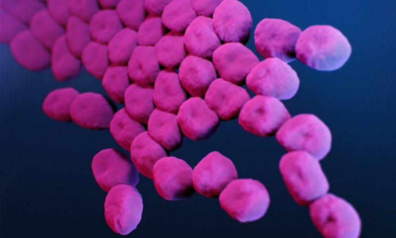 Entasis’ antibiotic bests last resort treatment on path to become new weapon against drug-resistant bacteria