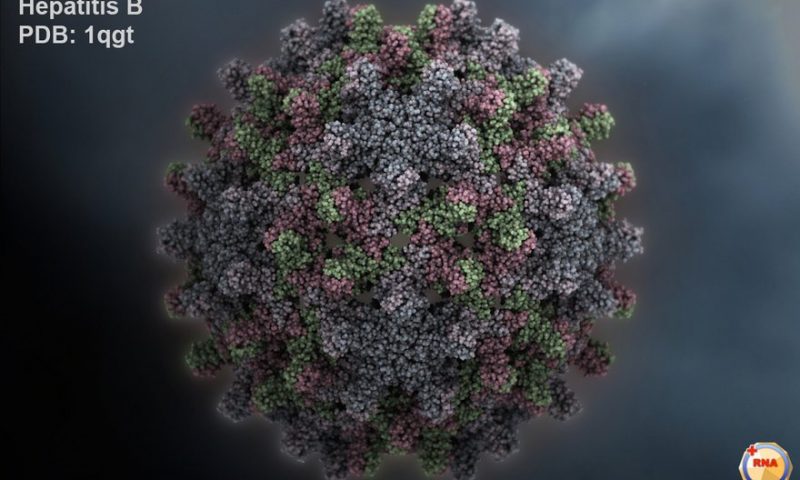 Antios, months after series B, raises a further $75M to fuel pursuit of hepatitis B cure