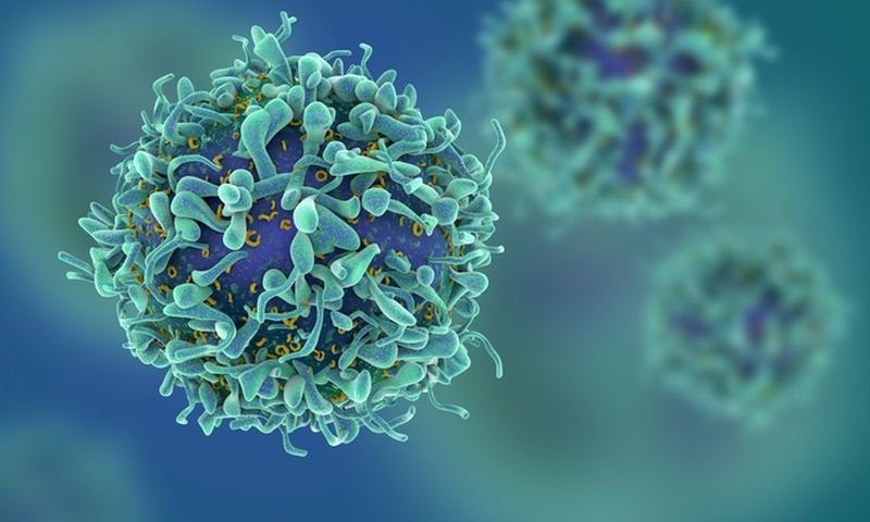 Improving CAR-T cell therapies for cancer by targeting a protein ‘brake’