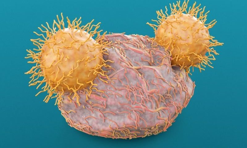 Stop sugarcoating cancer cells to empower CAR-T therapy in solid tumors
