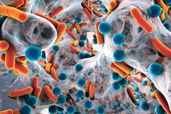 MeMed secures $93M to deliver tests for identifying viral, bacterial infections