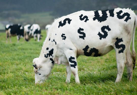 This ‘cash cow’ value-stock strategy can fatten your portfolio even if you fear the Fed