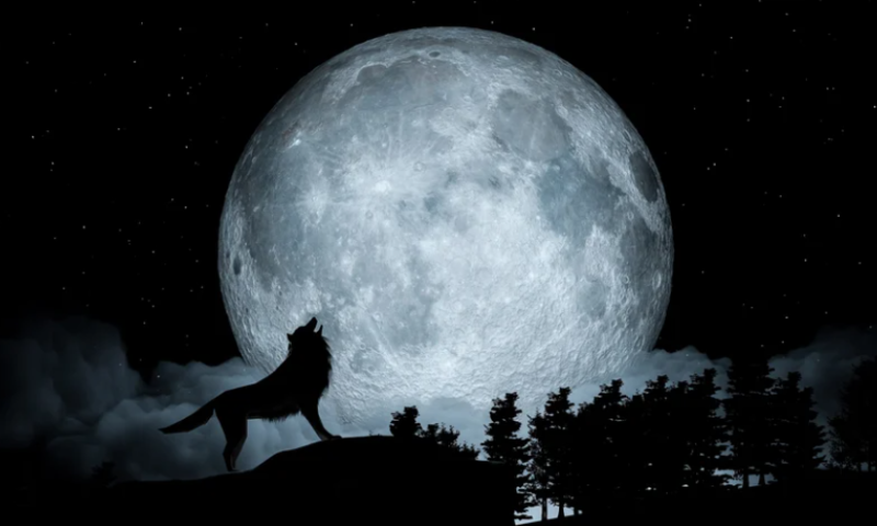 Jazz, Werewolf to howl at the moon together in $1.26B backloaded biobucks pact