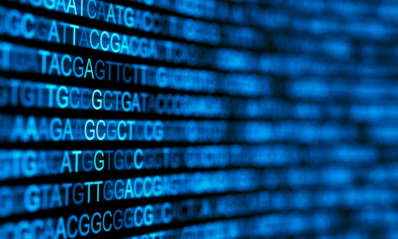 After decades, researchers deliver first complete human genome using long-read DNA sequencers