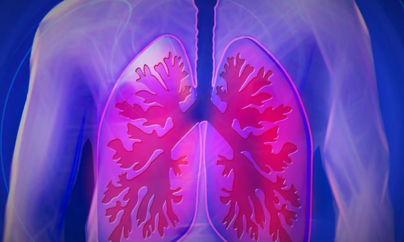 With newly discovered cell type, Penn scientists propose COPD drug development strategy