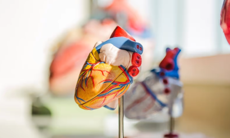 Arterys lands FDA go-ahead to expand its cardiac MRI-reading AI