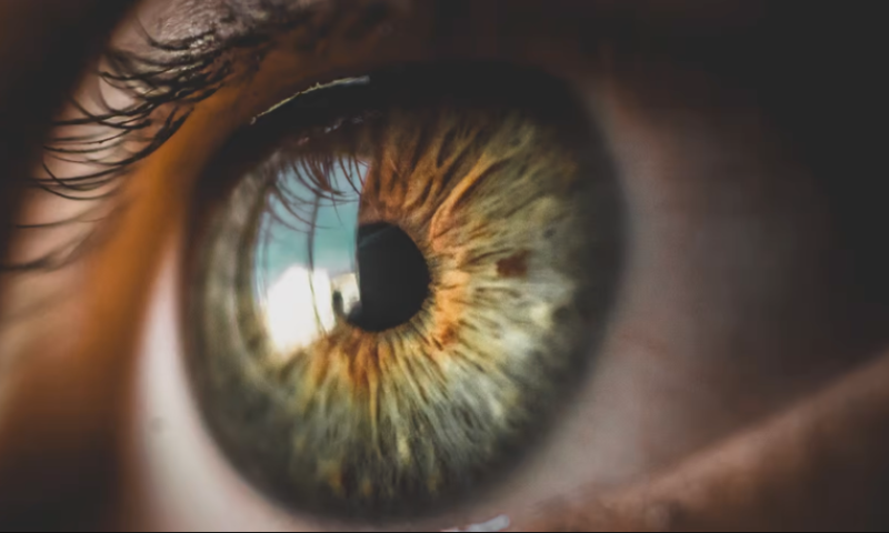 Eyes on the prize: Aurion Biotech raises $120M for ‘global transformation in the cornea’