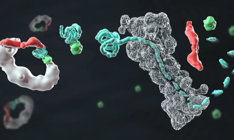 BMS, Merck KGaA push protein degrader ambitions with $2.3B Amphista partnerships