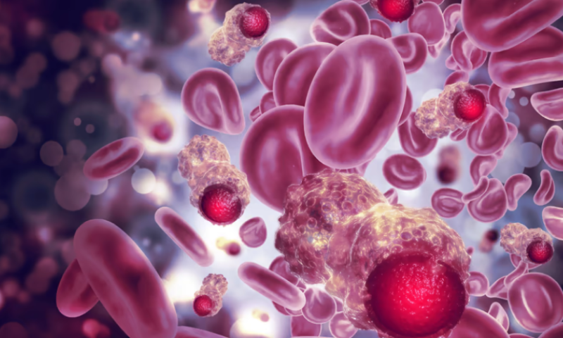 AbbVie’s navitoclax goes after tough blood cancer, not yet reaching overall survival benchmark
