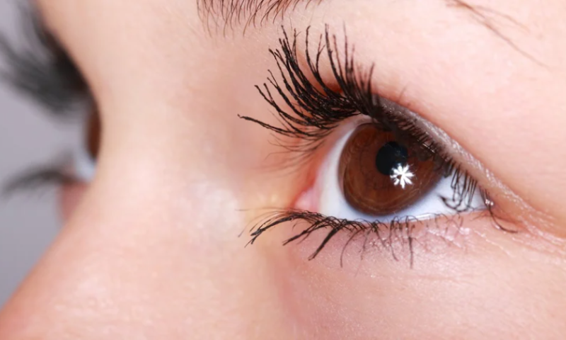 Eyelid mites no match for Tarsus eye drop, as phase 3 data spur drive to FDA