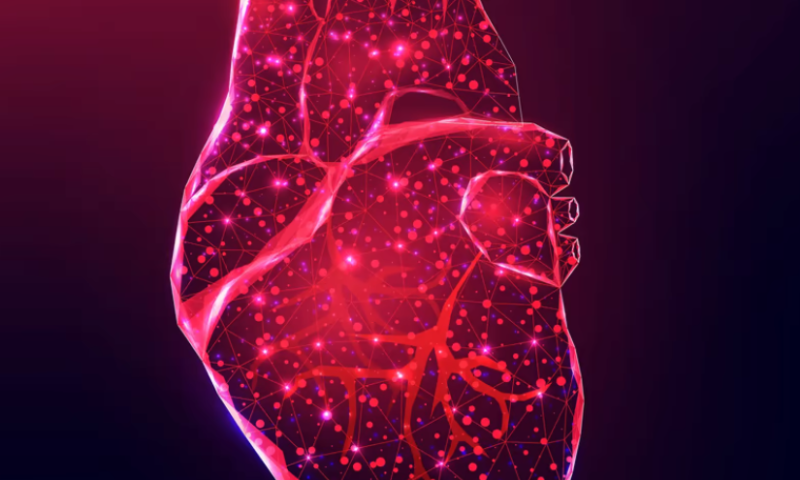 FDA has change of heart, plans to convene advisory meeting for Cytokinetics’ cardiac med