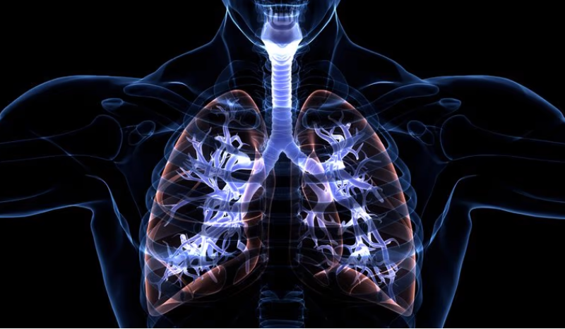 Carbon Biosciences exits stealth with $38M, unveils cystic fibrosis gene therapy candidate