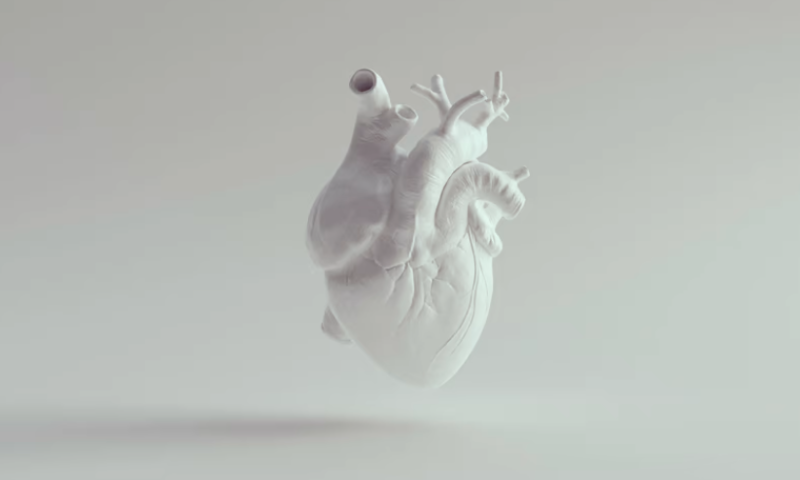 Elucid clears $27M funding for heart disease diagnostic AI