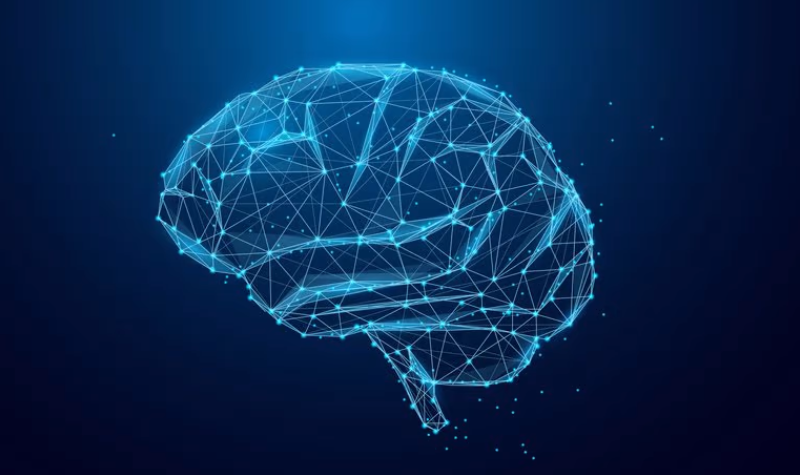 Mind over matter: Scientists unlock regeneration mechanism for brain injury