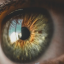 After late-study endpoint switch, Aldeyra hails success of phase 3 dry eye disease trial
