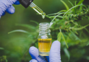 High times: Anebulo drug reduces cannabinoid intoxication in phase 2 study