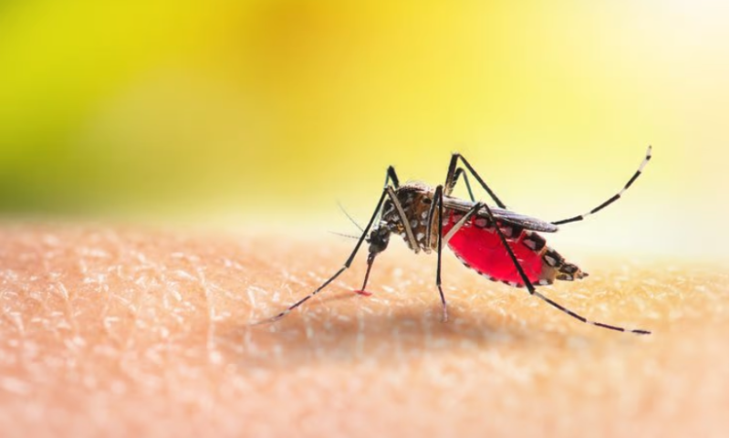 Oxford malaria vaccine maintains bite after booster; Researchers hope for shot approval in 2023