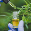 Cannabinoid-focused drugmaker InMed blames ‘recessionary pressures’ for exiting wellness sector