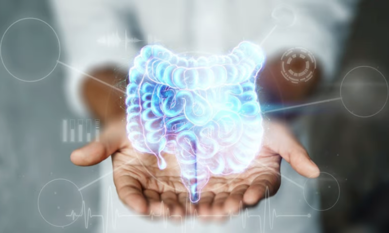 How ROS loss leads to inflammatory bowel disease