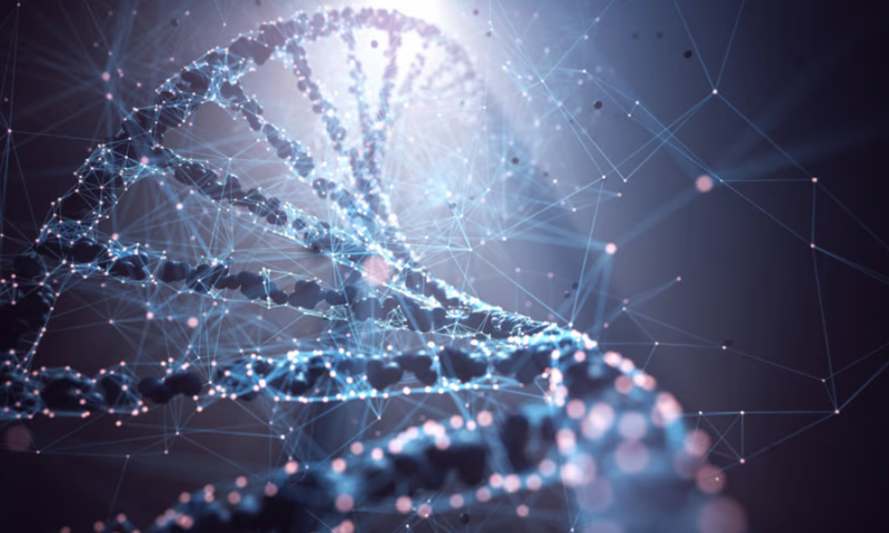 Approaching phase 3, Sangamo shares post-ERT durability data on Fabry gene therapy