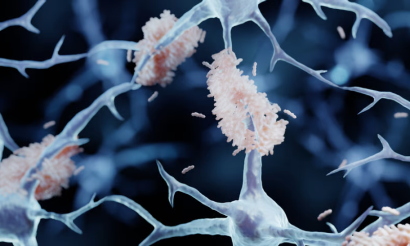 Blood-brain barrier no barrier to testing diabetes drugs in Alzheimer’s