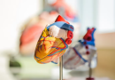 Abiomed scores FDA approval for easier-to-wear pump for right-side heart failure