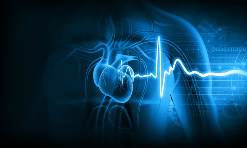 Mayo Clinic AI study finds early adopters catch more heart disease
