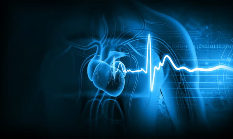 Volta Medical recharges with €36M for AI-powered heart ablation software