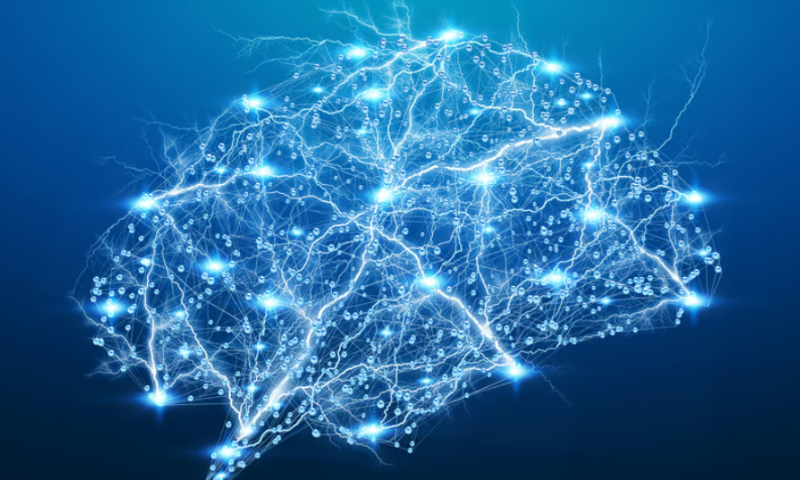 Schrödinger expands neuroscience work with BMS, Otsuka partnerships