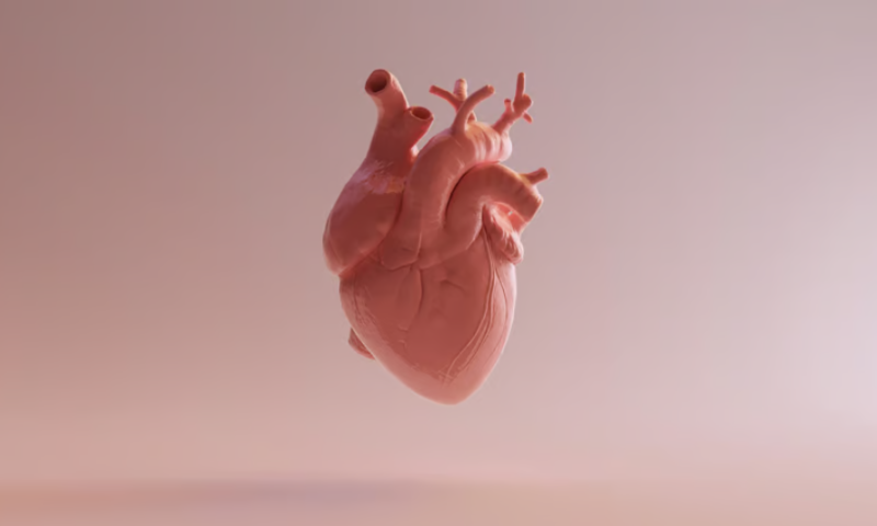 FDA hands DiA Imaging another AI clearance in cardiac ultrasound