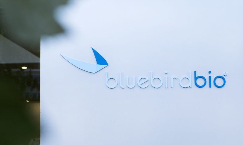 Bluebird Bio Shares Down After Fourth-Quarter-Revenue Decline
