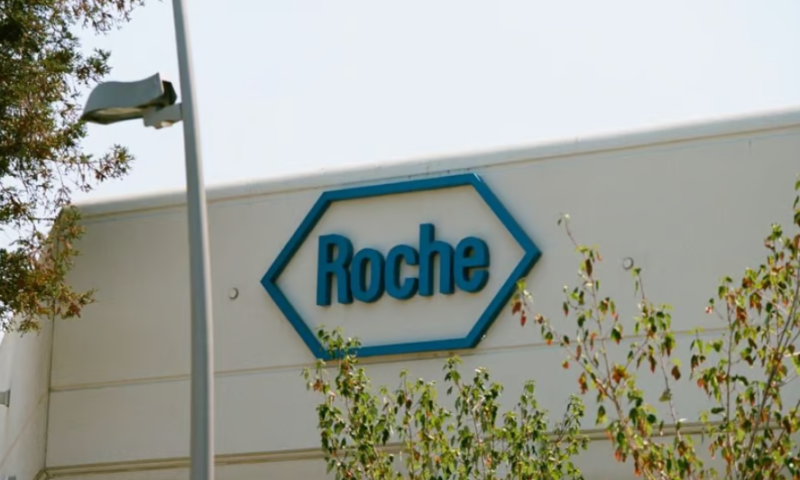 Roche creates organoid research institute to shake up drug discovery and development