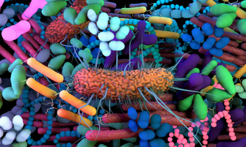 Don’t trust your gut? Microbiota could hold key to why some cancer therapies fail