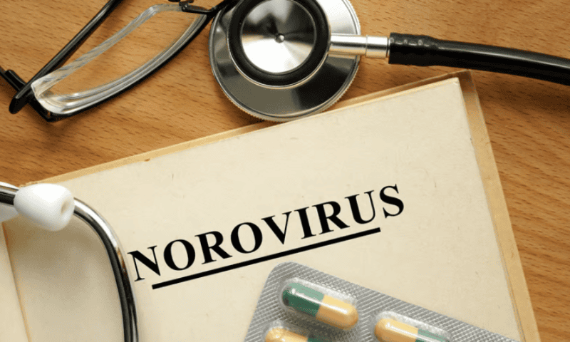 Vaxart’s norovirus program inches forward with new phase 2 data