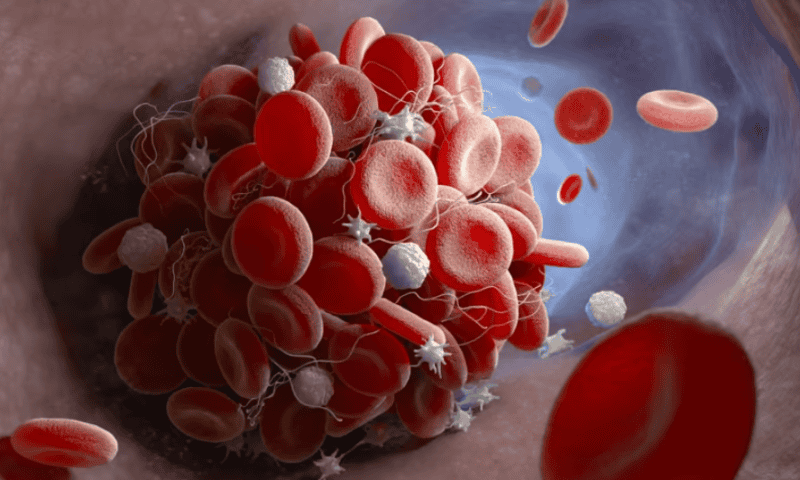 Terumo’s automated blood processing system snags FDA clearance to boost US platelet supply