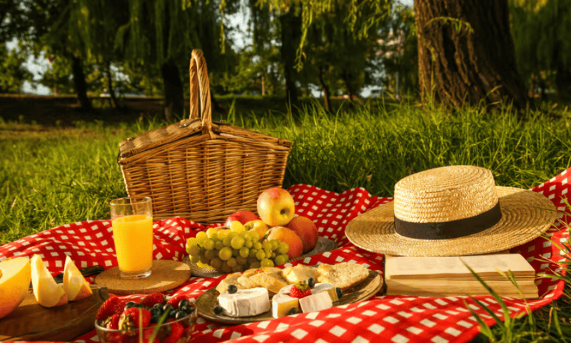 PicnicHealth enters the oncology field with AstraZeneca tagging along for lunch