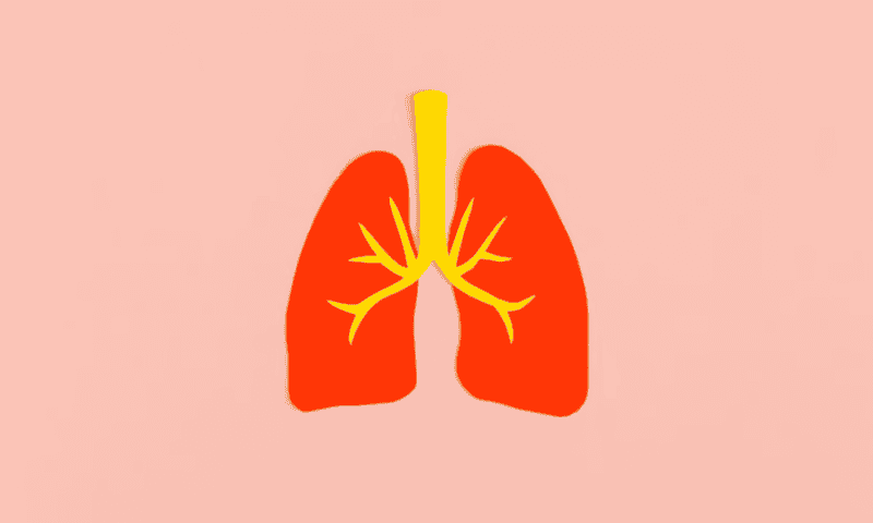 Paragonix’s pressure-controlled lung transplant system nets FDA green light