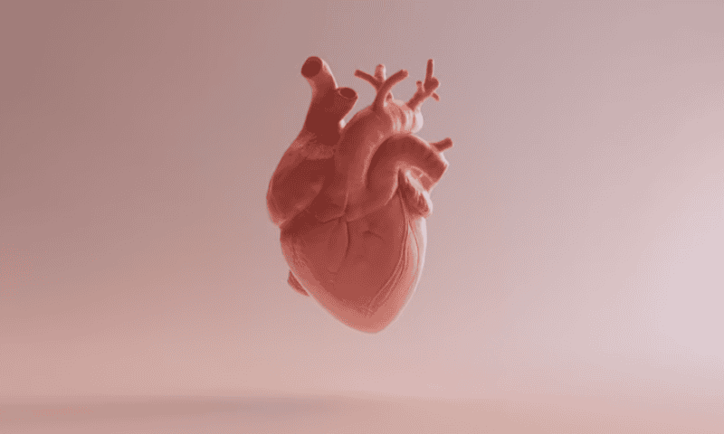 BioCardia’s cell therapy flunks phase 3 heart failure trial, driving stock down