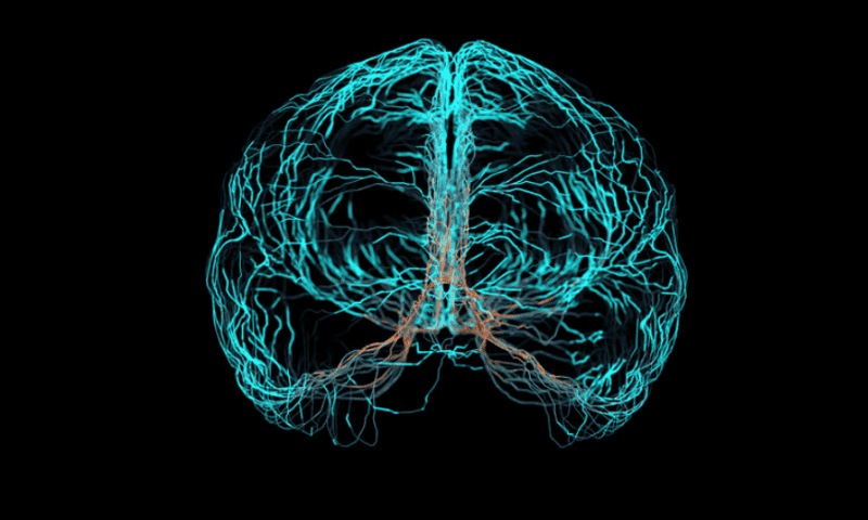 Zeta Surgical zeroes in on FDA nod for ‘GPS-like’ neurosurgery navigation system