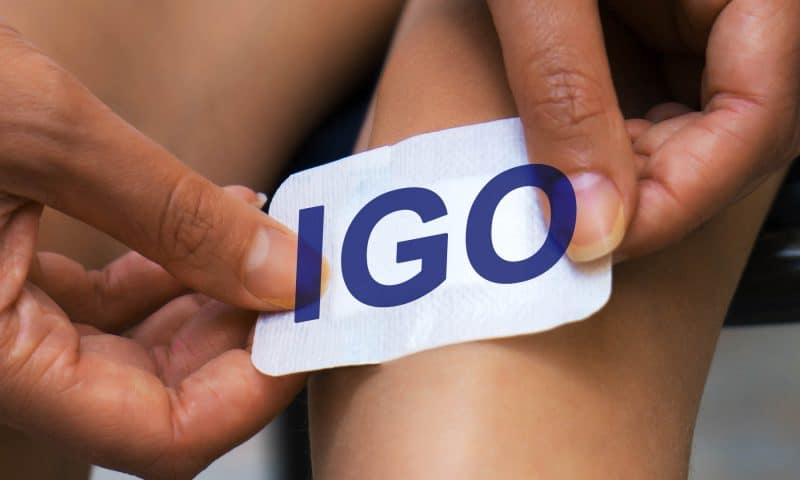 IGO Likely to Impair Cosmos Assets Again in 1H