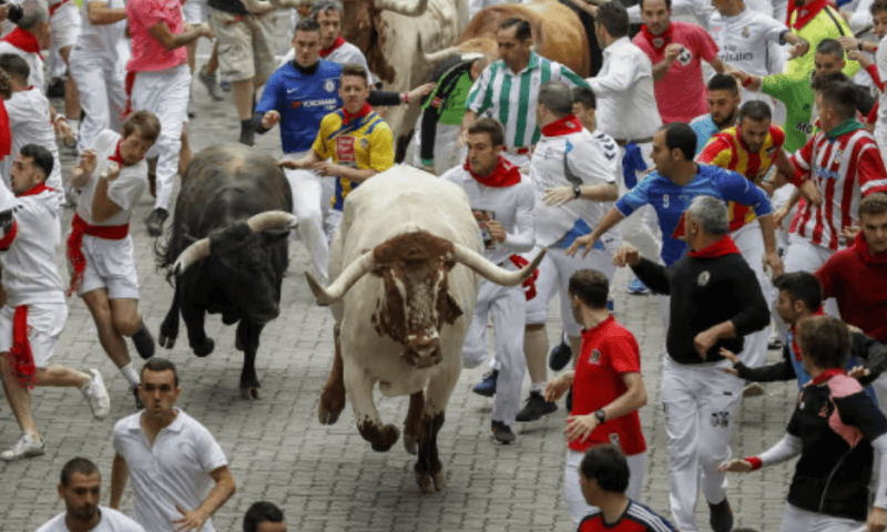 Bulls are charging through the stock market with surprising strength and speed