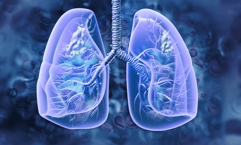 Merck & Co. digs into TIGIT fail, sharing survival data from phase 2 lung cancer trial