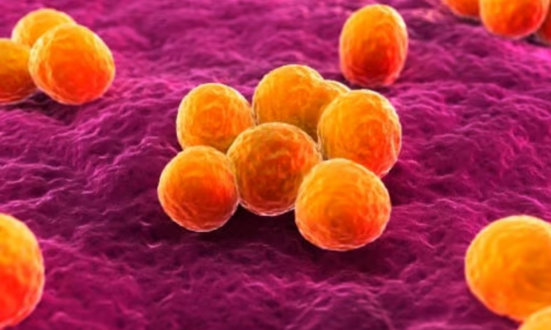 ‘Explainable’ AI discovers new class of antibiotics that stop MRSA in mice
