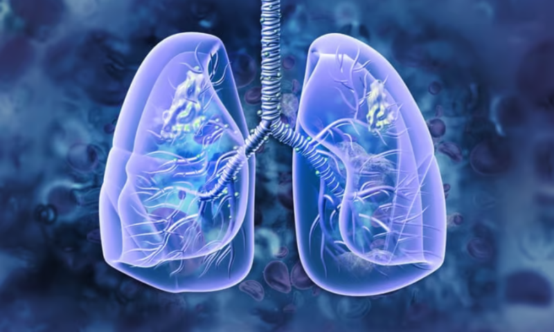 Blueprint tears up plans, dropping 2 lung cancer programs after seeing early clinical data