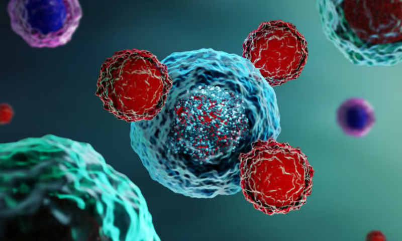 Elicio’s therapeutic cancer vaccine boosts T-cell therapy response in mice while biotech awaits phase 2 data