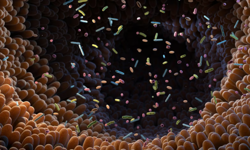 Genome & Co. posts survival data from phase 2 microbiome cancer trial, plans more studies