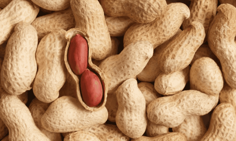 Food allergy biotech DBV is running out of cash, with phase 3 trials underway