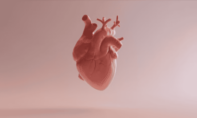 Medtronic secures FDA approval for evolved Evolut TAVR valve