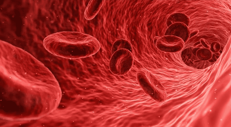 R3 Vascular raises $87M to test its bioresorbable scaffold for blocked arteries below the knee