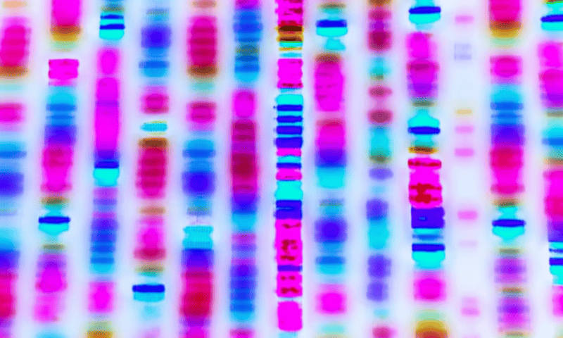 Merck KGaA’s ‘all-in-one’ CHO genetic stability assay cuts down on biosafety testing time